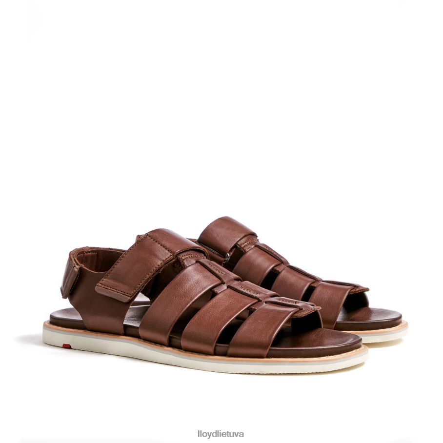 LLOYD elimaras vyrų avalynė rudas VF40PZ583