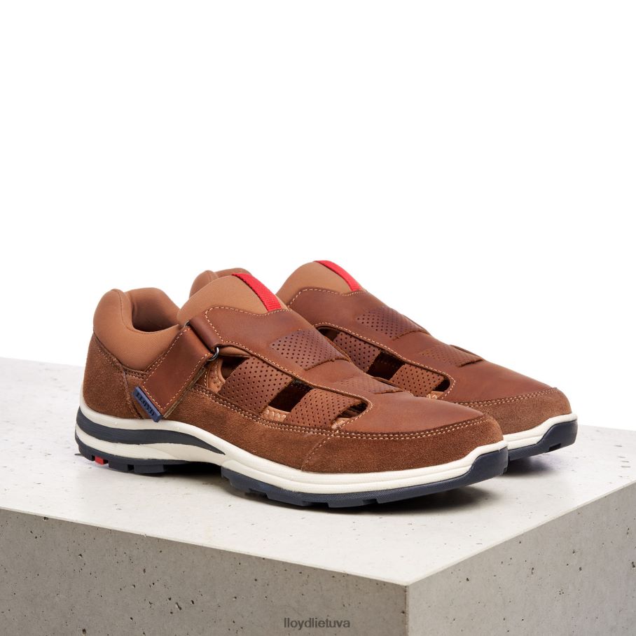 LLOYD elrado vyrų avalynė rudas VF40PZ625