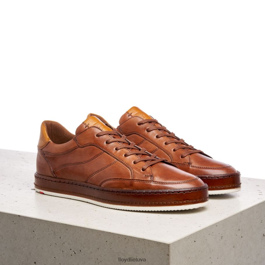 LLOYD Blackburn vyrų avalynė rudas VF40PZ440