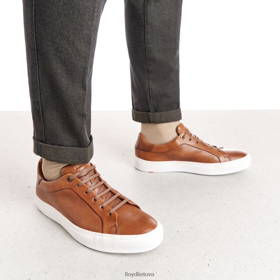 LLOYD ajan vyrų avalynė rudas VF40PZ391