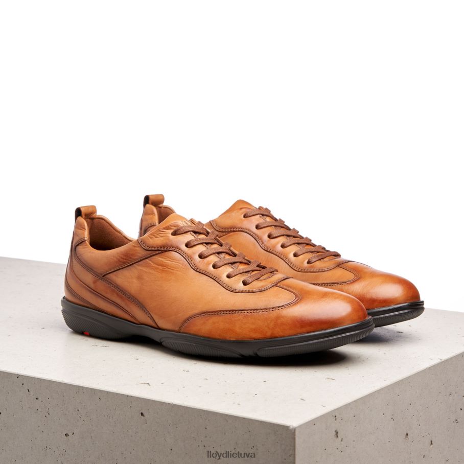 LLOYD bernas vyrų avalynė rudas VF40PZ436