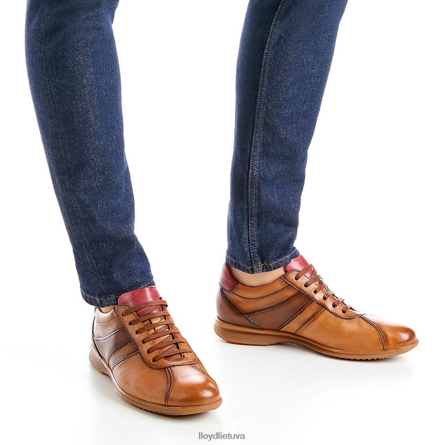 LLOYD davos vyrų avalynė rudas VF40PZ308