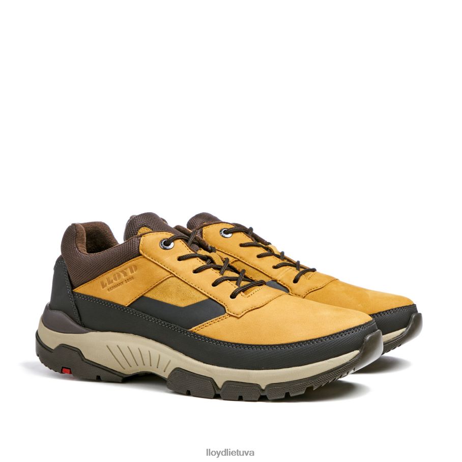 LLOYD ebe vyrų avalynė rudas VF40PZ295