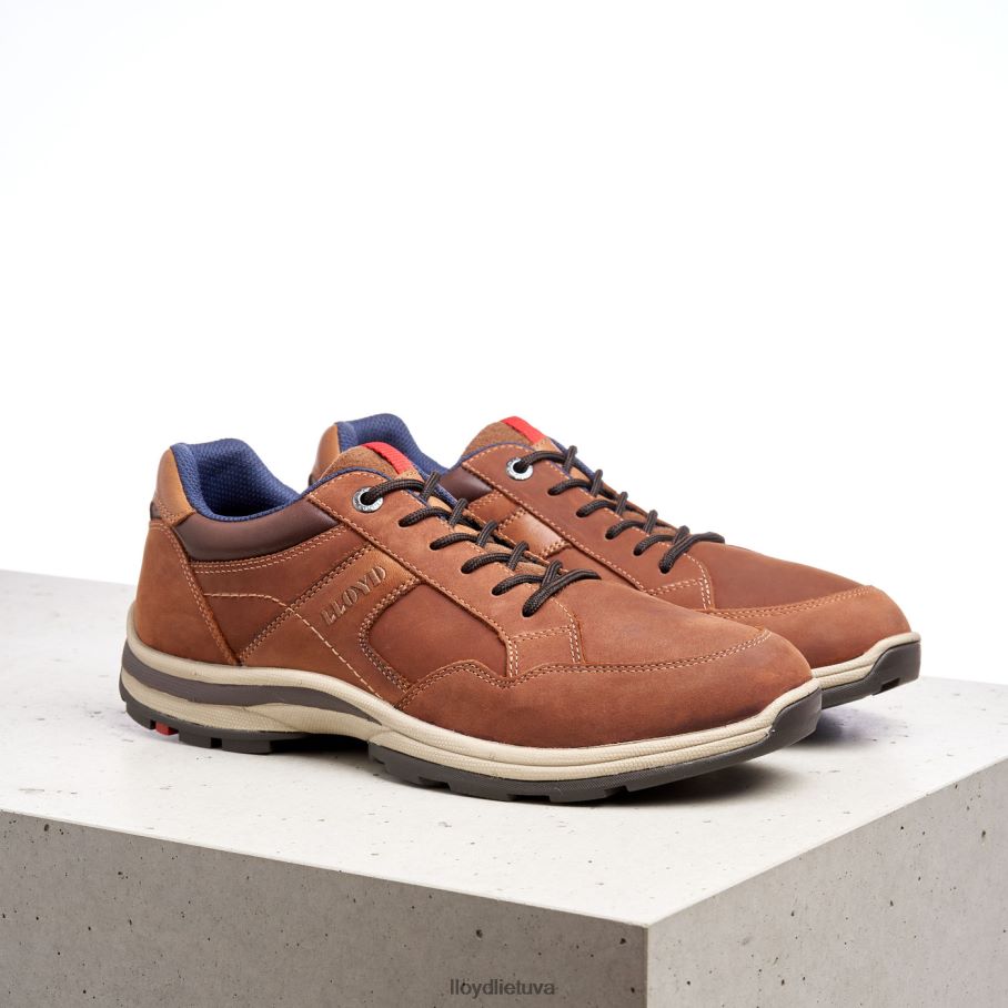 LLOYD ensor vyrų avalynė rudas VF40PZ394