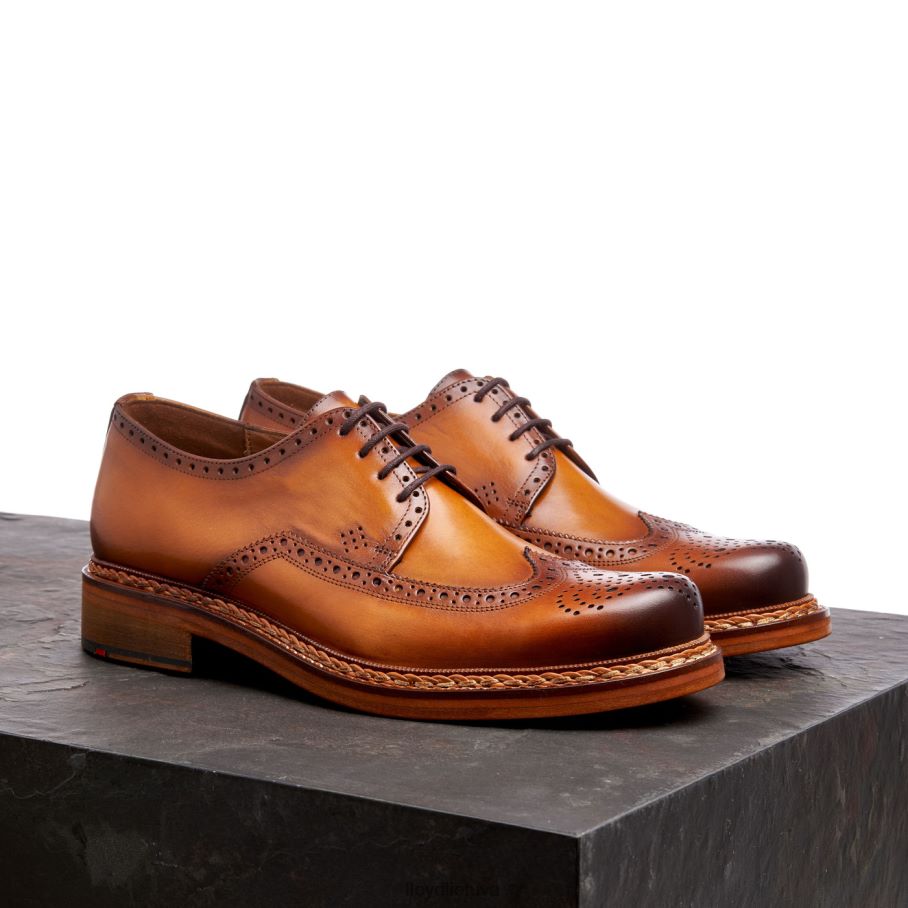 LLOYD wotan vyrų avalynė rudas VF40PZ163