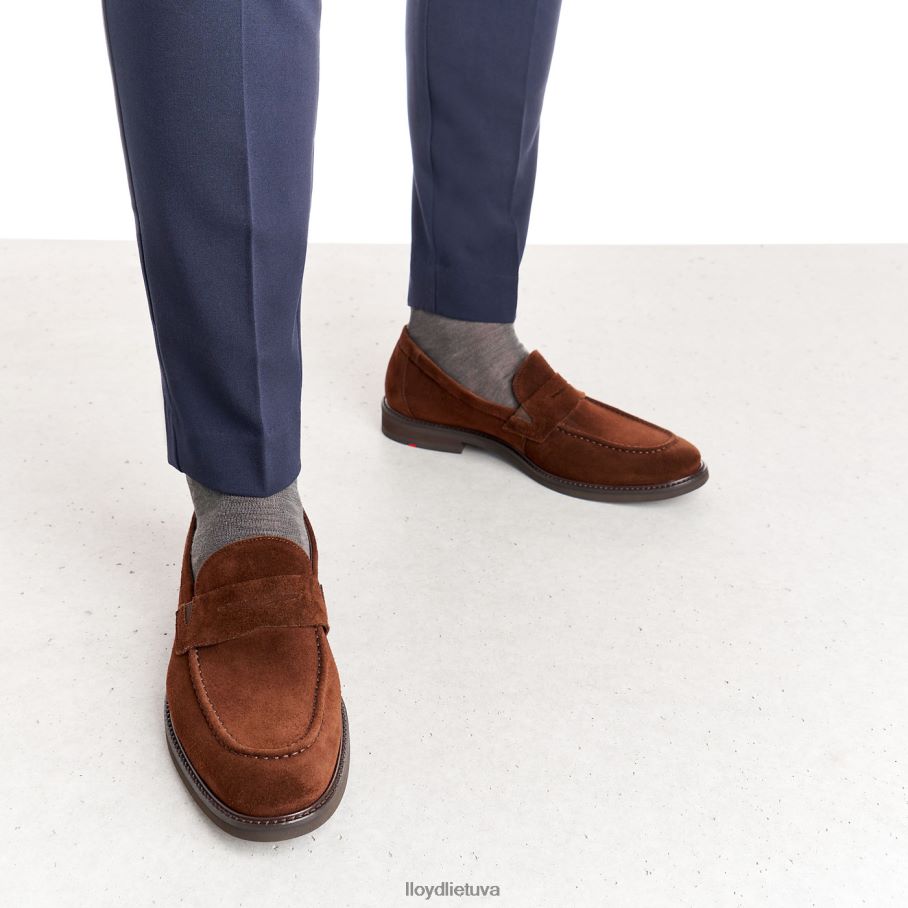 LLOYD reg vyrų avalynė rudas VF40PZ183