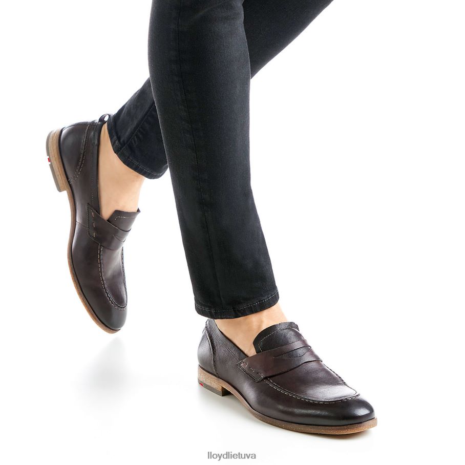 LLOYD ripan vyrų avalynė rudas VF40PZ612