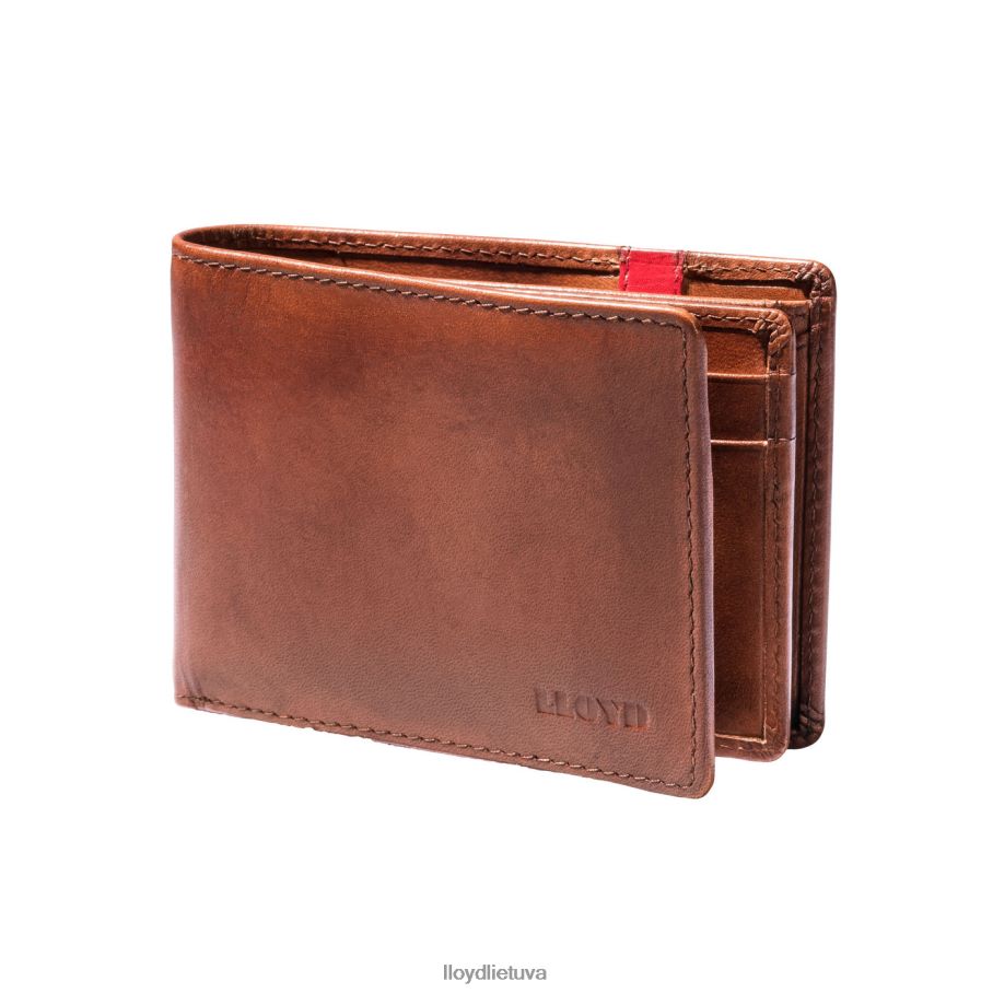 LLOYD kišenė vyrų priedai rudas VF40PZ677